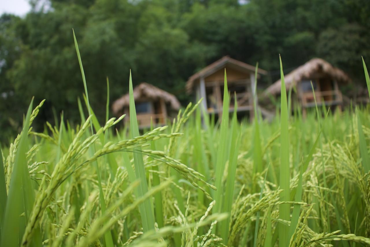 Little Mai Chau Home Stay Kültér fotó