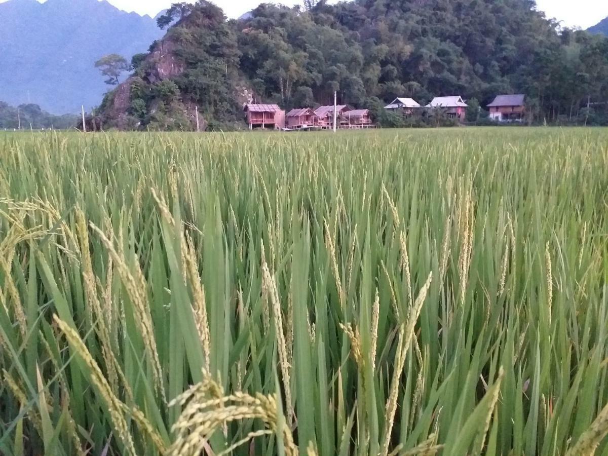 Little Mai Chau Home Stay Kültér fotó